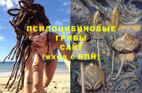 гашик Михайлов