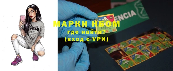 мет Алексин
