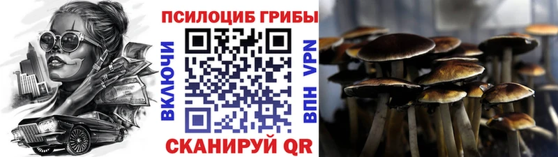 Галлюциногенные грибы Magic Shrooms  omg ONION  Чусовой 